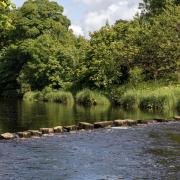 The stepping stones across the Hodder at Stakes