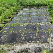 The network of bunds at Westhay Moor are clearly visible from above.