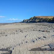 The unique textured coastline at Lilstock's low tide