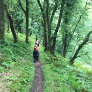 The lush greens of Horner Woods await you on this riverside stroll.