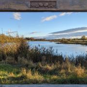 Ripon City wetlands.