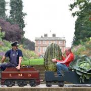 World record breaking fruit and veg.