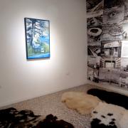 Part of the exhibition in the Dorset Pavilion. Alexa de Ferranti 'Nine fields' sheepskin map, on the wall is Jane Fox's 'Life is but a Dream' and Ellen Harvey's 'The Disappointed Tourist' is on the other wall. (Photo: Sophie