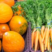 Pumpkins and carrots are just some of the delicious ingredients coming our way this autumn