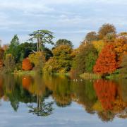 Autumn colours reflected in the lake at Sherborne Castle and Gardens. (Photo: Sherborne Castle Estate)