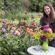 TV gardening presenter Rachel de Thame’s tips on keeping your garden alive in the cooler months