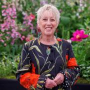 TV gardener Carol Klein on how her garden is the perfect wellbeing space