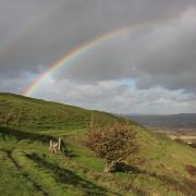 The right-fork bridleway track on Hambledon Hill at point 3.