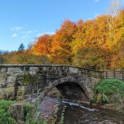 Autumn colour at Hold Caldron.