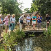 Wilder Together: councillor tour of the RSPB Flatford Wildlife Garden.