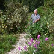 Nature writer Richard Mabey in the Mediterranean part of his rewilded garden at his south Norfolk home.