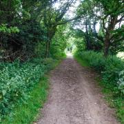 A walk around Reepham and the surrounding countryside