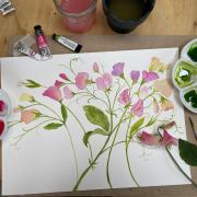 Allie Pottinger's Sweet Peas