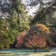 Batsford glows in the early light of a crisp autumn morning.