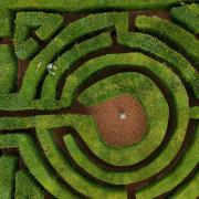 A gardener at Hever Castle works in the maze