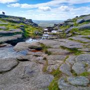 Kinder Downfall