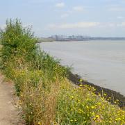 East Tilbury walk