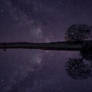 The New Forest can also be a wonderful place to stargaze.