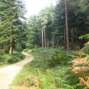 Sloden Inclosure