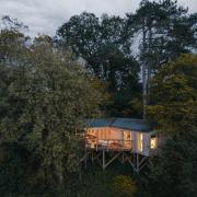 The Elmore Court treehouses.