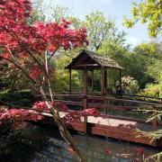 The Japanese Garden in St Mawgan has been highly praised by visitors