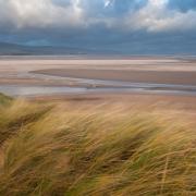 The sand dunes and the beach at Sandscale Haws during autumn