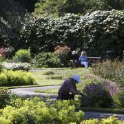 Relaxing in or working in, community gardens offer multi-purpose benefits