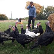 Philip Hunter of Suffolk Turkeys in Fressingfield Photo: Suffolk Turkeys