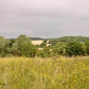 West Suffolk's enormous fields under wide skies are a distinctive feature of the landscape. Photo: Jayne Lindill