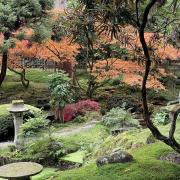 Autumn colours in the Japanese Garden at Tatton Park.