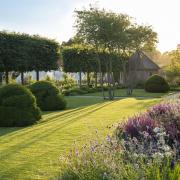 Organic yew dome shapes in an Oxfordshire garden, named 'the currant buns' by the owner.