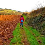 The footpath runs beside winter ploughland