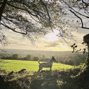 Enjoy the wintry sunset views over Dulverton as you explore the pplentiful footpaths. Photo: Ali Pegrum