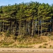 The 'strikingly beautiful' North Wales trail among Britain's best autumnal walks