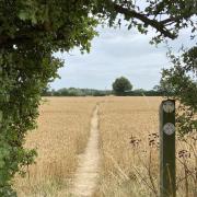 Part of the Essex Way near Manningtree