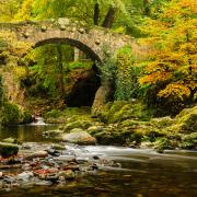 Foley's Bridge over the Shimna River in Tollymore Forest Park in Ireland.