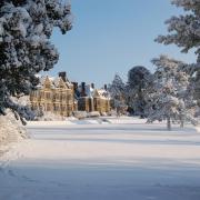 Ashdown Park in the snow