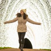 Christmas at Westonbirt. Photo: Phil Wilkinson