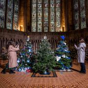 York Minster gears up for a seasonal and sparkling Christmas Tree festival. Charlotte Graham