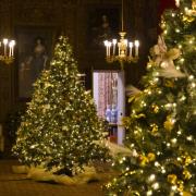 Festooned Christmas trees in the carved room at Petworth