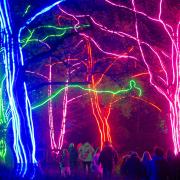 Chester Zoo's lantern and light trail returned at the weekend.