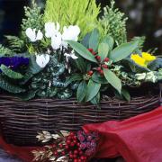 Baskets make a lovely and personal gift.