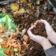 'Composting is all about balance,' says Stuart Ritchie. Photo: AdobeStock