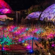 Christmas 2024 at The Eden Project