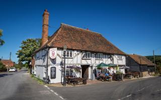 The Red Lion in Herne Hill Image: Tizer Studio