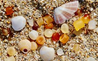 Nurdles are hiding in plain sight amongst shells and stones on our beaches.