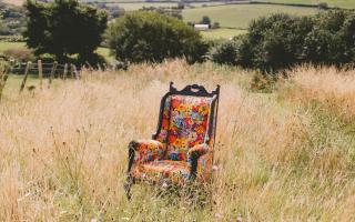 Will's Bumblebee Garden chair in his back garden which has areas of wild meadow. Photo: Will Bees