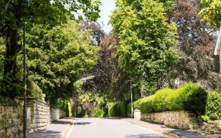 Leafy avenues make this a very desirable place to live.