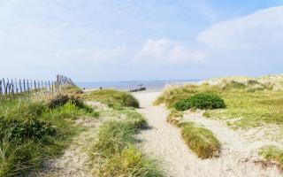West Wittering's golden beach is dotted with marram grass