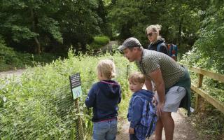 Families making use of hired explorer backpacks on a walk at RSPB Arne Nature Reserve.